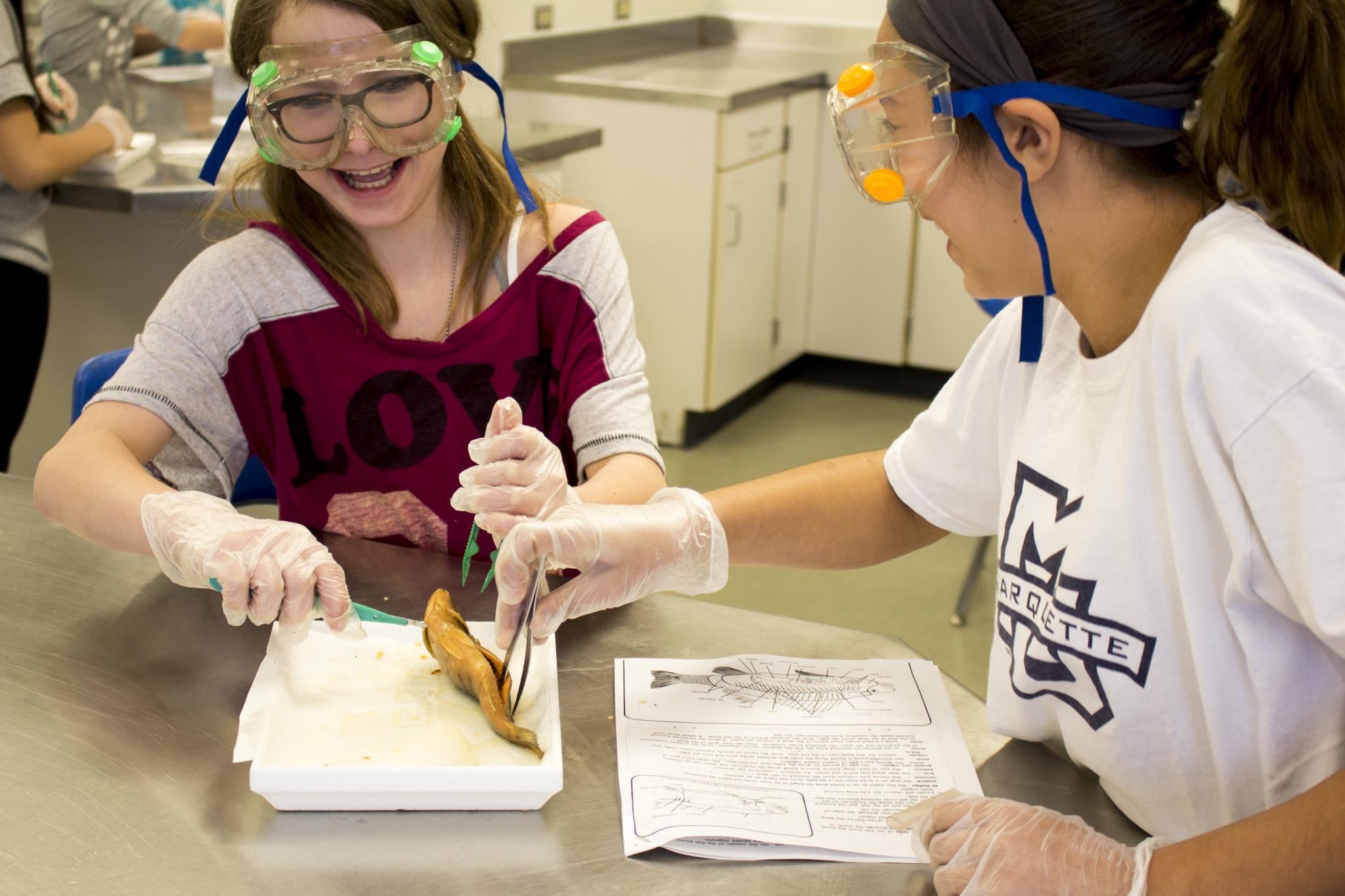 6th Grade Fish Dissection Image 5