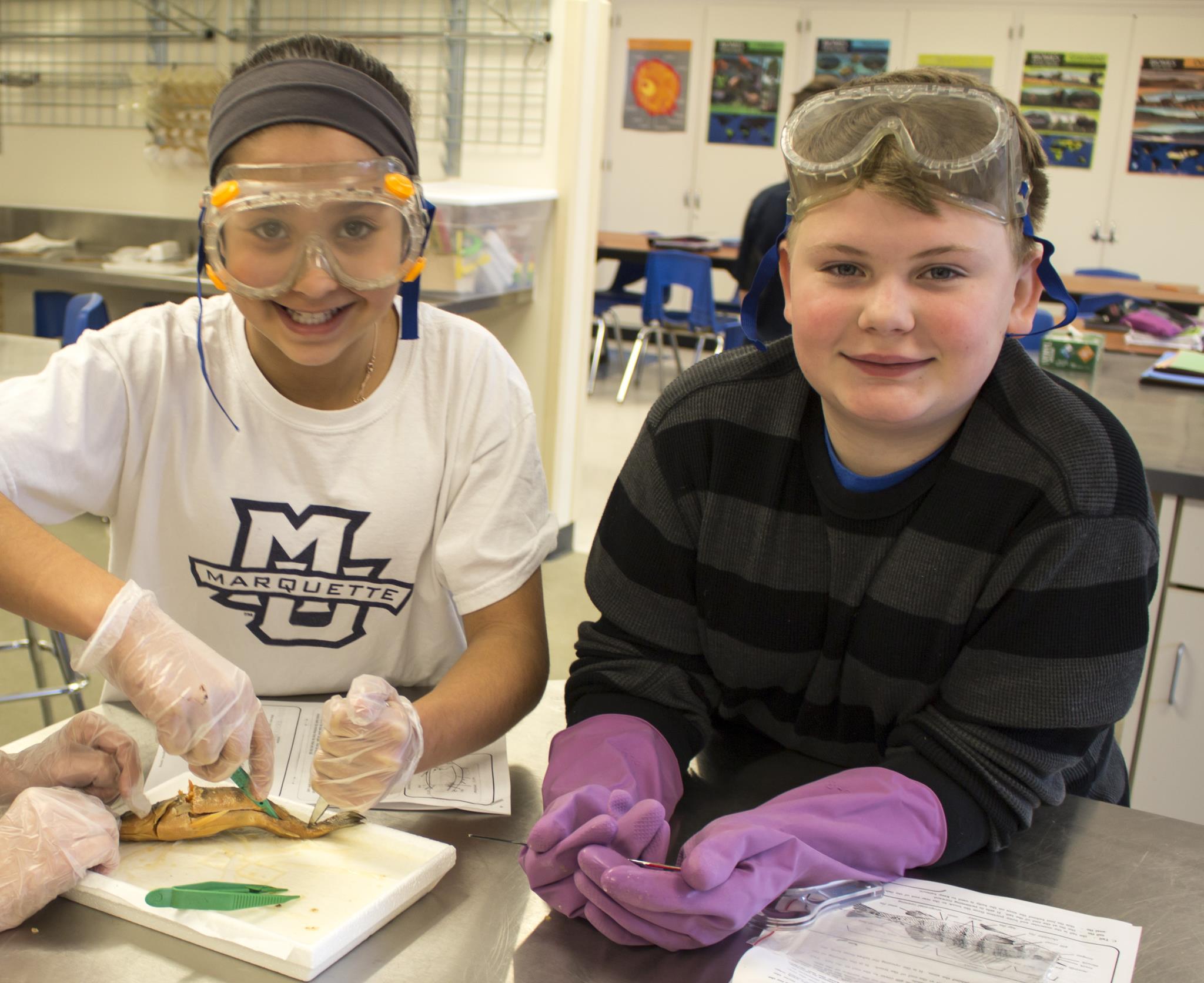 6th Grade Fish Dissection Image 2