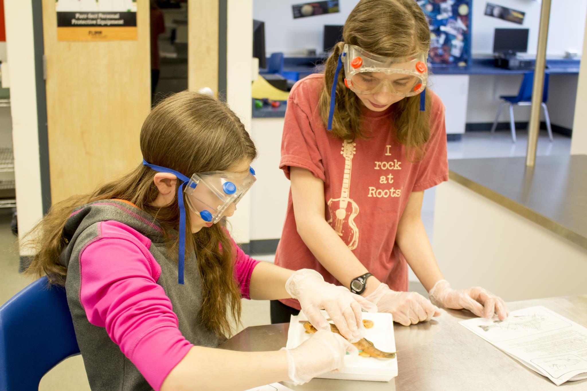 6th Grade Fish Dissection Image 4