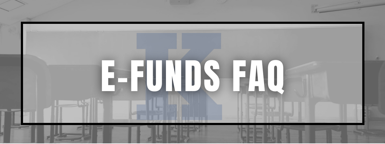 Guide to e-Funds